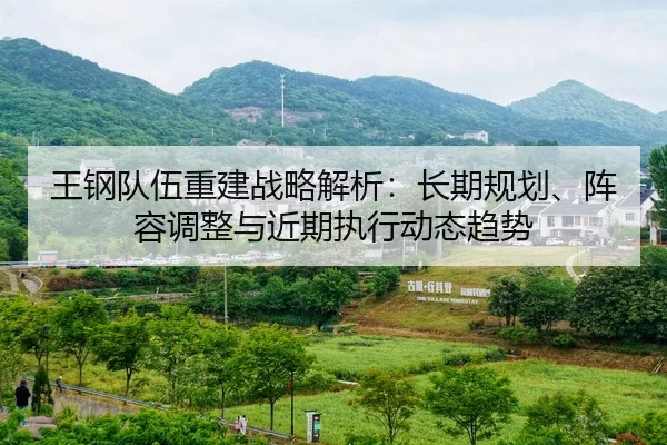 王钢队伍重建战略解析：长期规划、阵容调整与近期执行动态趋势