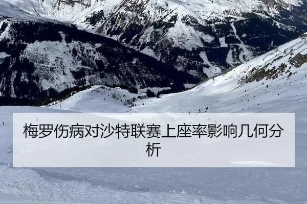 mei-luo-shang-bing-dui-sha-te-lian-sai-shang-zuo-lv-ying-xiang-ji-he-fen-xi-2-308.jpg