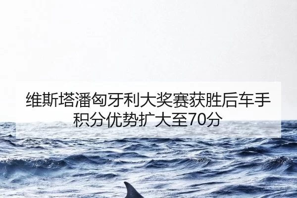wei-si-ta-pan-xiong-ya-li-da-jiang-sai-huo-sheng-hou-che-shou-ji-fen-you-shi-kuo-da-zhi-fen-2-538.jpg